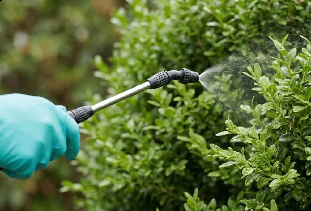 Tick & Flea Control in Freehold