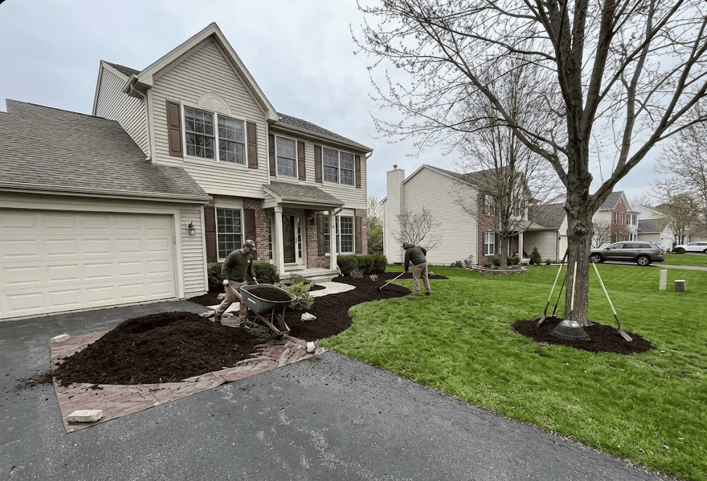  Lawn Care & Maintenance