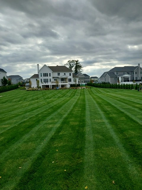 Monmouth County Lawn Care & Maintenance