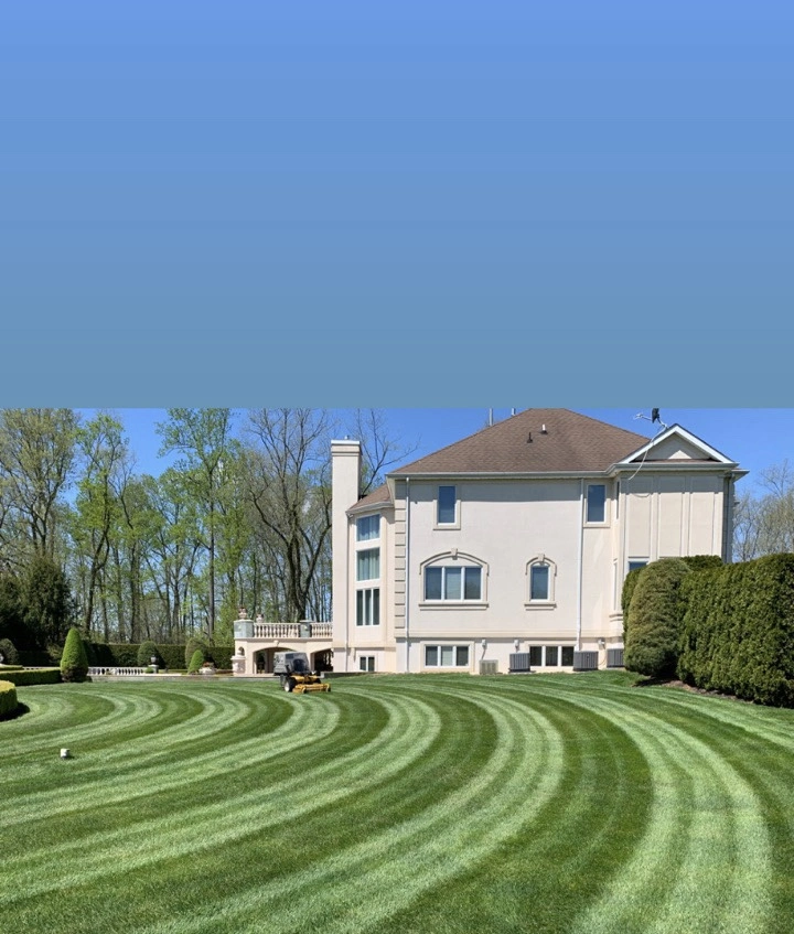 Lincroft Lawn Care & Maintenance