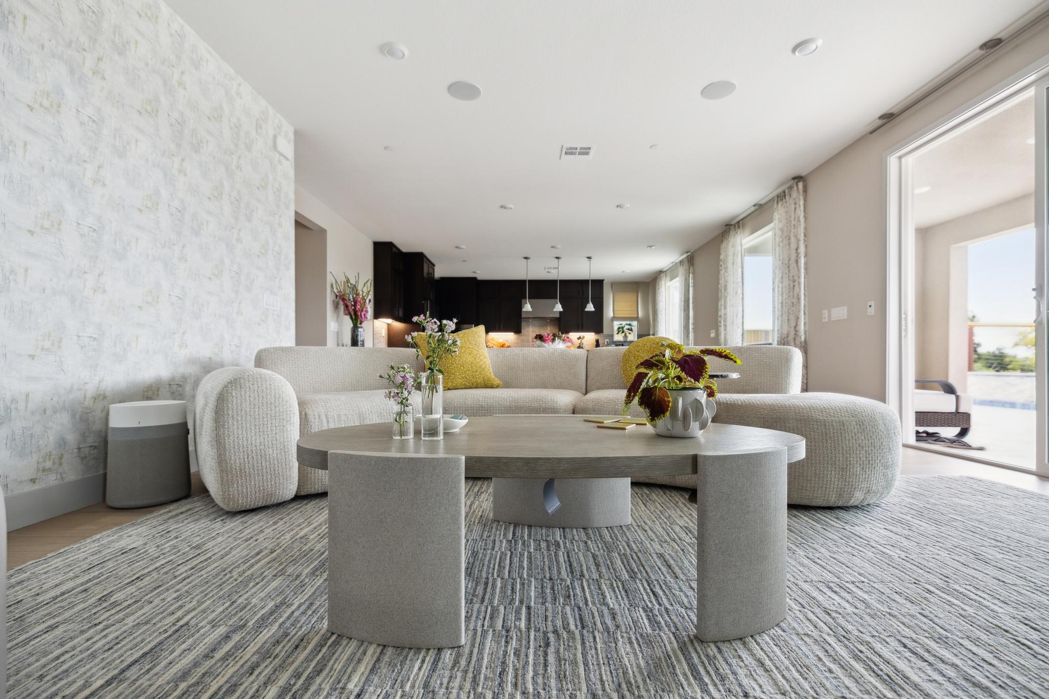 Open-plan living room and kitchen interior design in a Greater Sacramento home