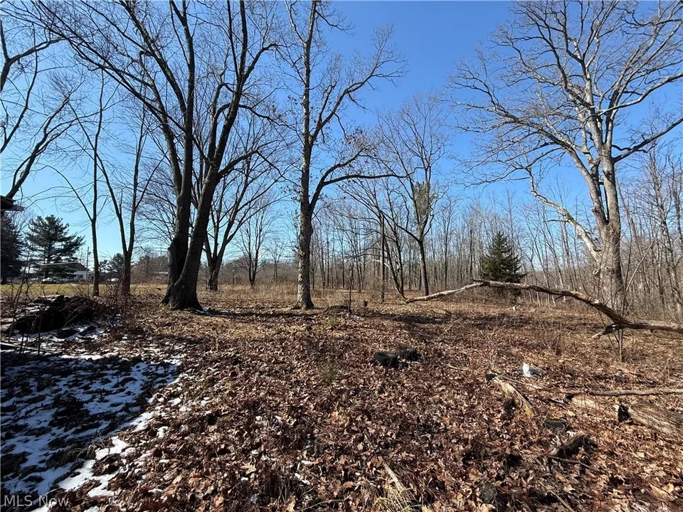 Vacant land purchase Newton Falls