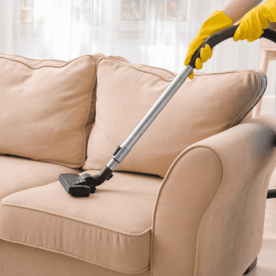 carpet cleaning in Bradenton