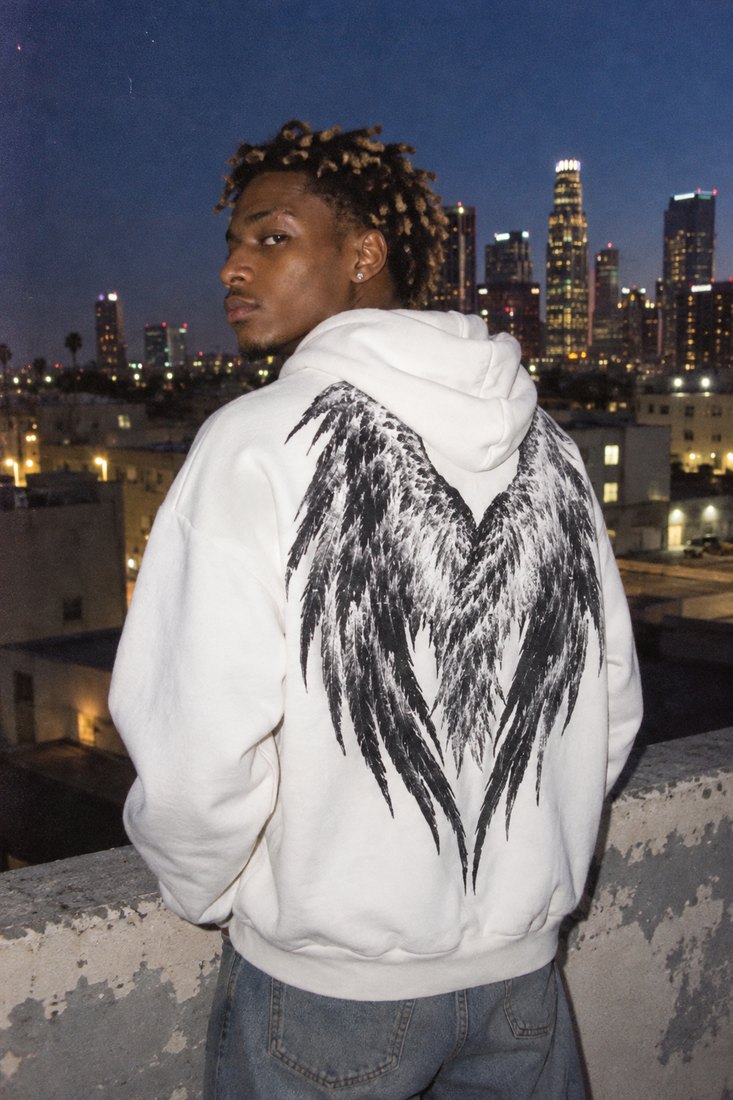 VIM 3235 Wings Hoodie
