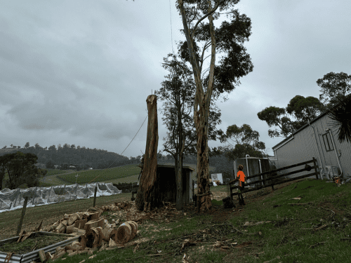 Mulching in Macedon Ranges