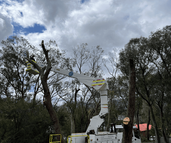 Mulching Macedon Ranges