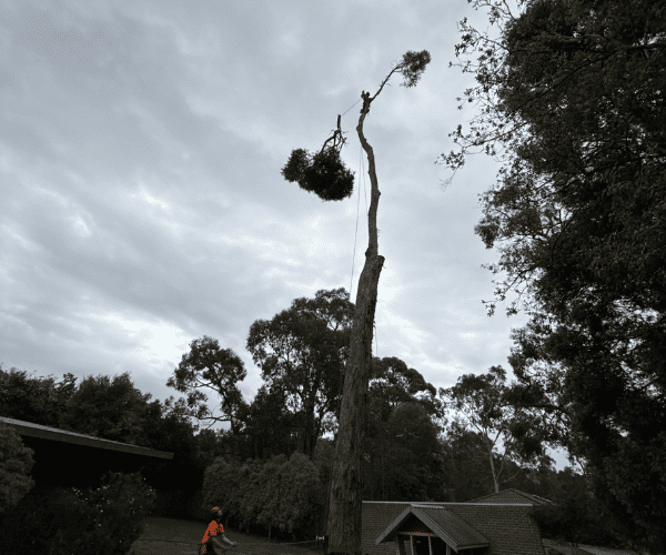 Line Clearing Macedon Ranges