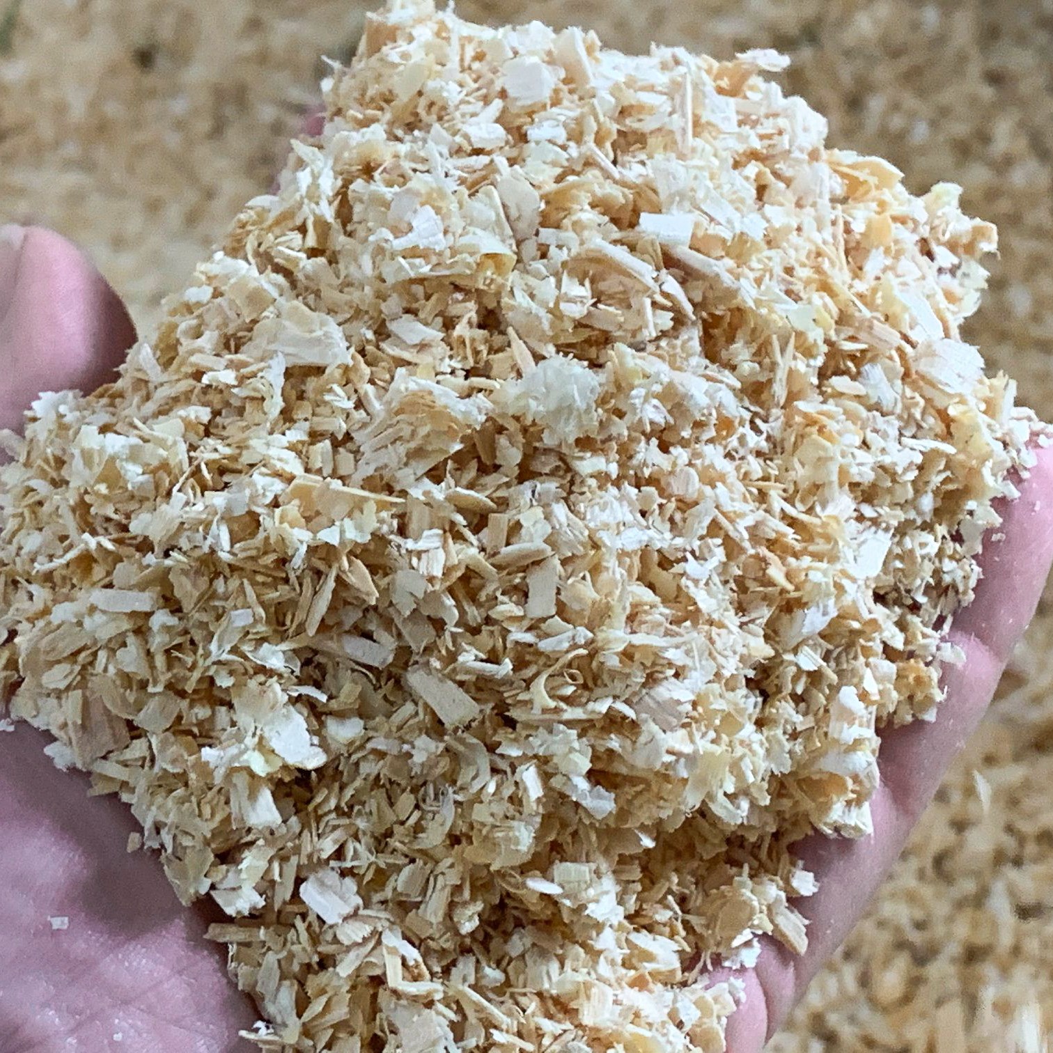 Pine shavings quality