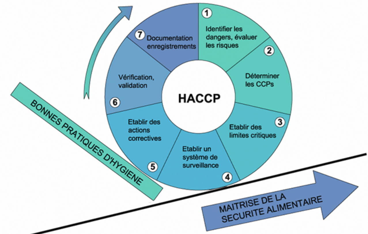 Les 7 principes HACCP