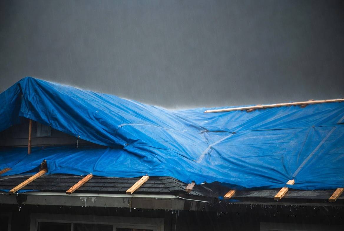 Repair Options: Targeted Fixes vs. Full Protection