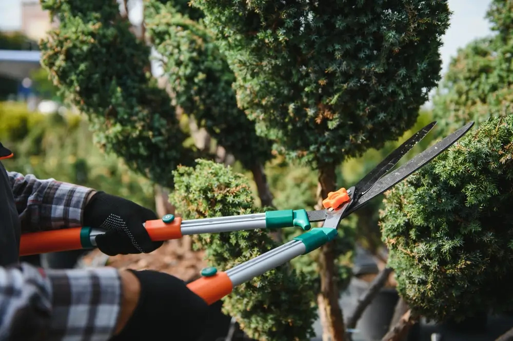  Fire mitigation service
