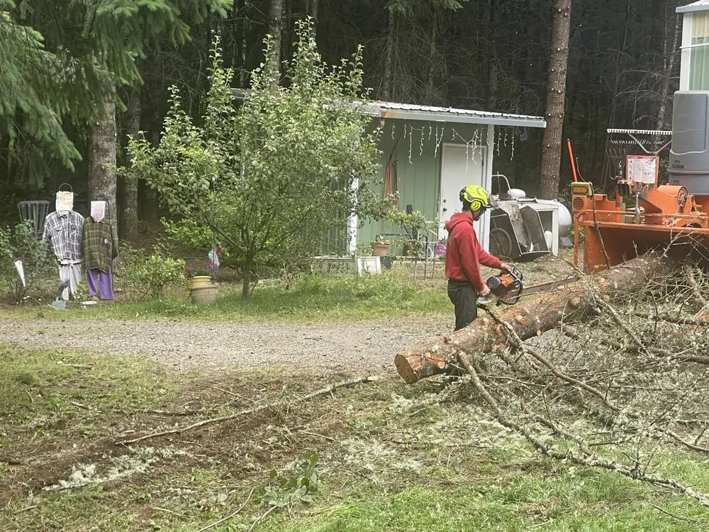  Fire mitigation service