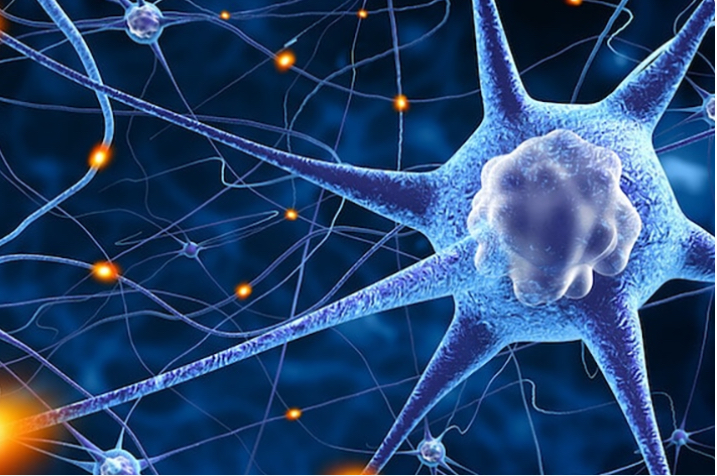 Nerves, Pelvic Congestion, Pain 