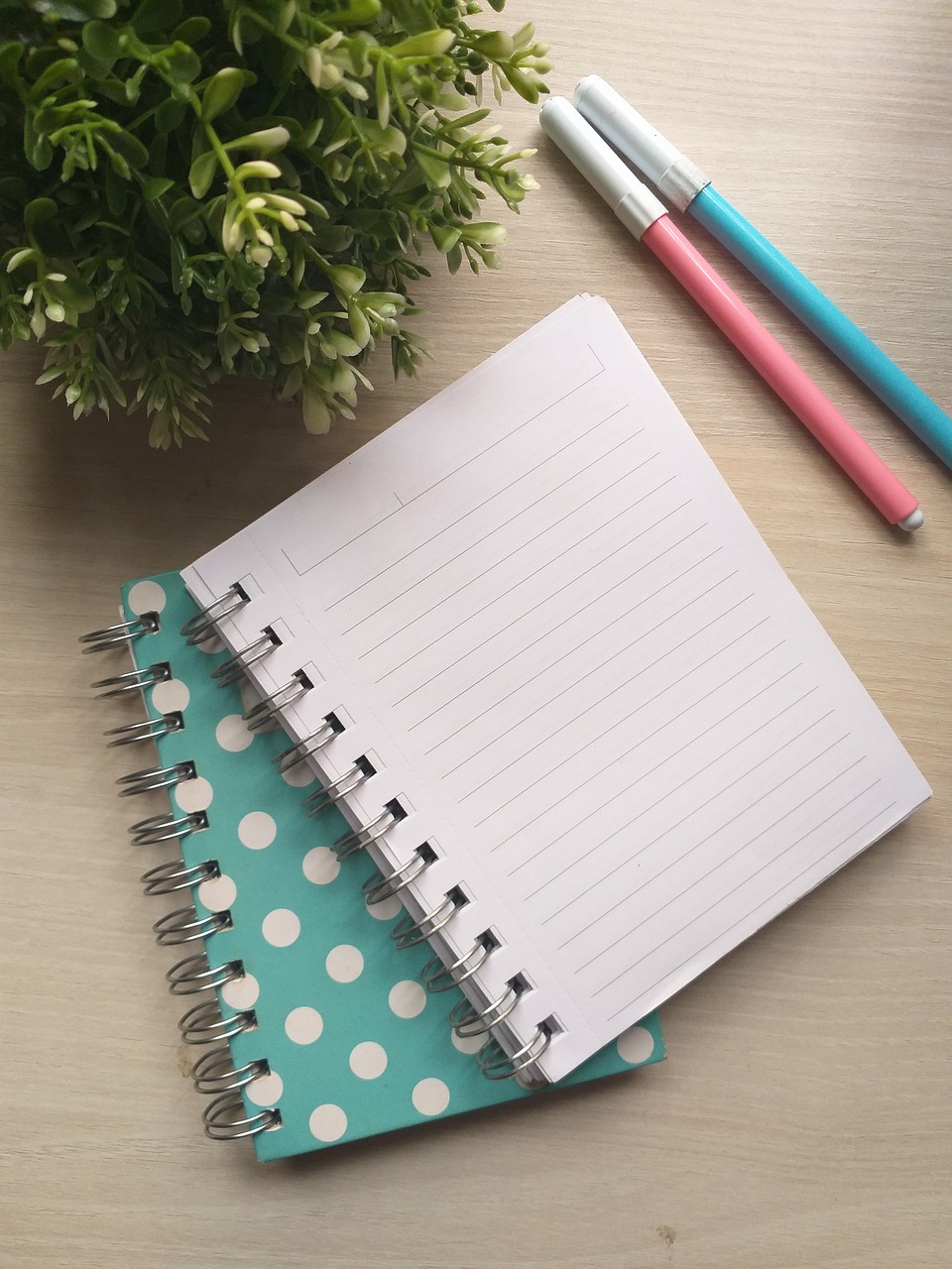 An open notebook, a pen, and a potted plant on a wooden desk near a window.