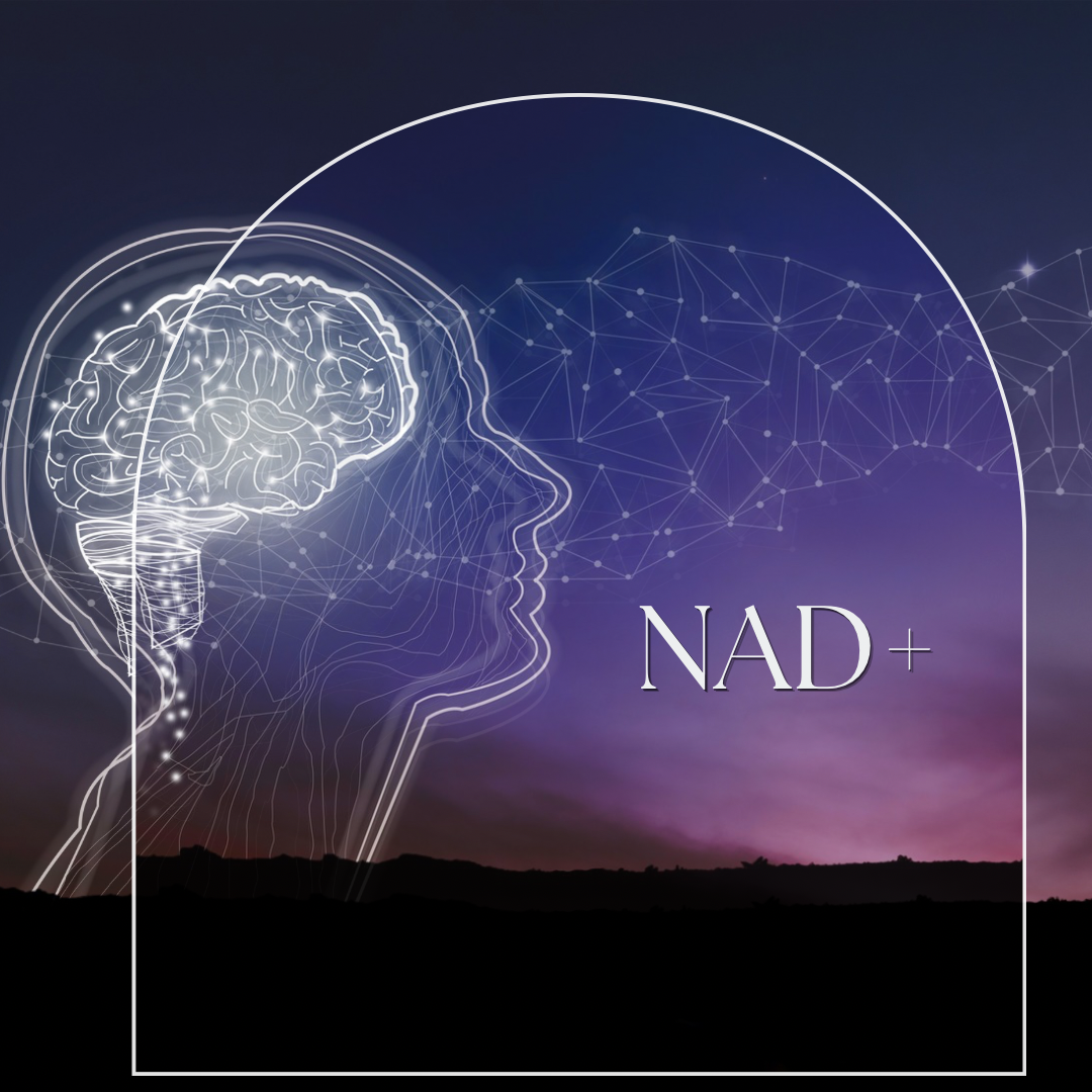 NAD+ & Niagen at Prime IV Holland