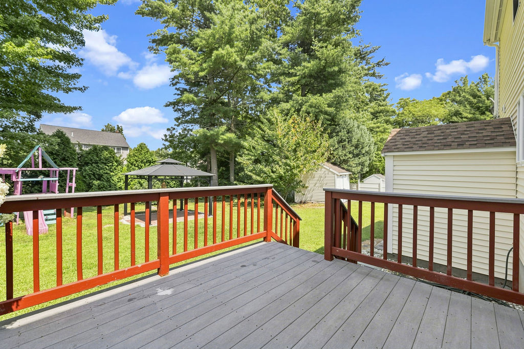Back yard