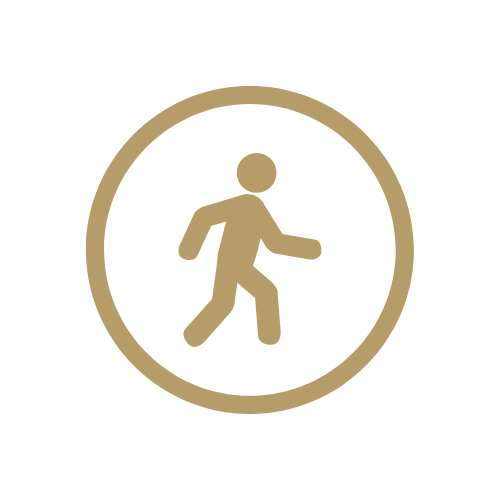 Walkable Access Icon