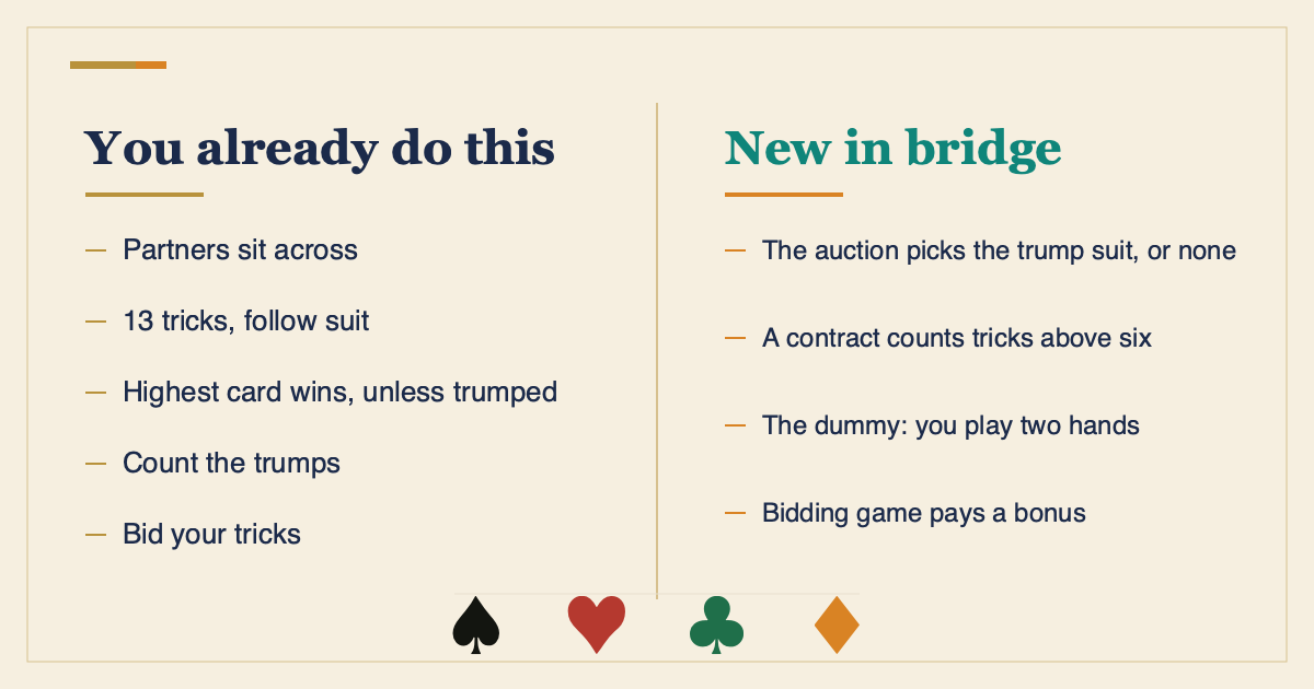 two-column card, what carries over from Spades and what is new in bridge