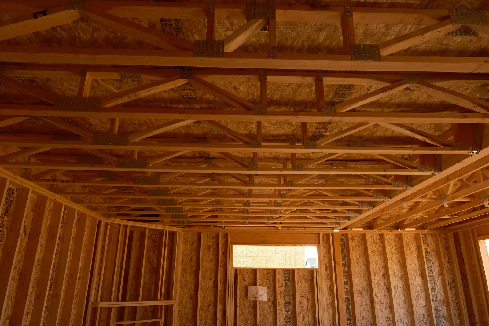 Wood roof trusses and wall framing viewed from inside a Holt Homes project