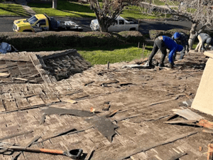 {{ custom_values.service_4 }} in {{custom_values.area_4})