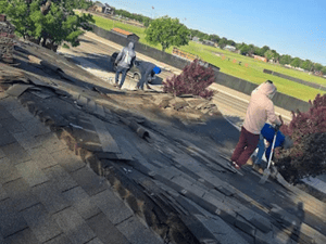 {{ custom_values.service_4 }} in {{custom_values.area_5})