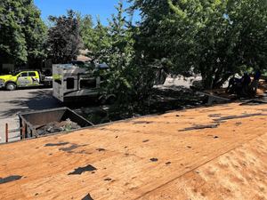 {{ custom_values.service_1 }} in {{custom_values.area_5})