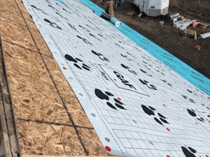 {{ custom_values.service_3 }} in {{custom_values.area_6})