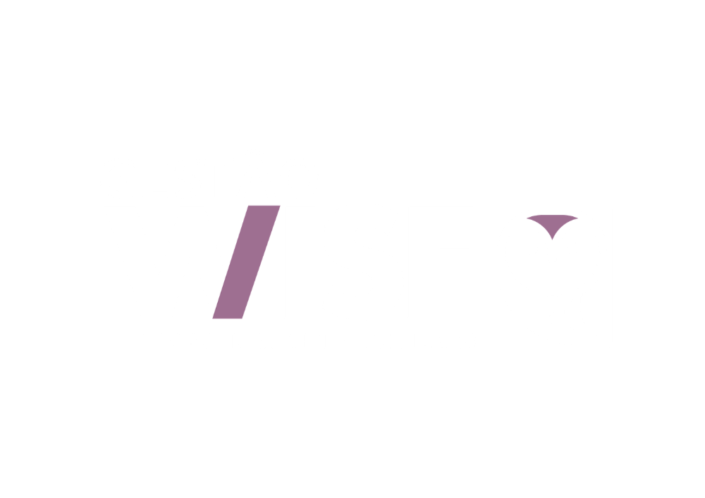 Gestão Wise