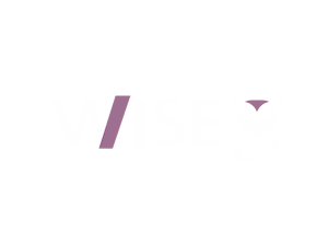 Gestão Wise