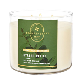 Bath and Body Works STREE RELIEF