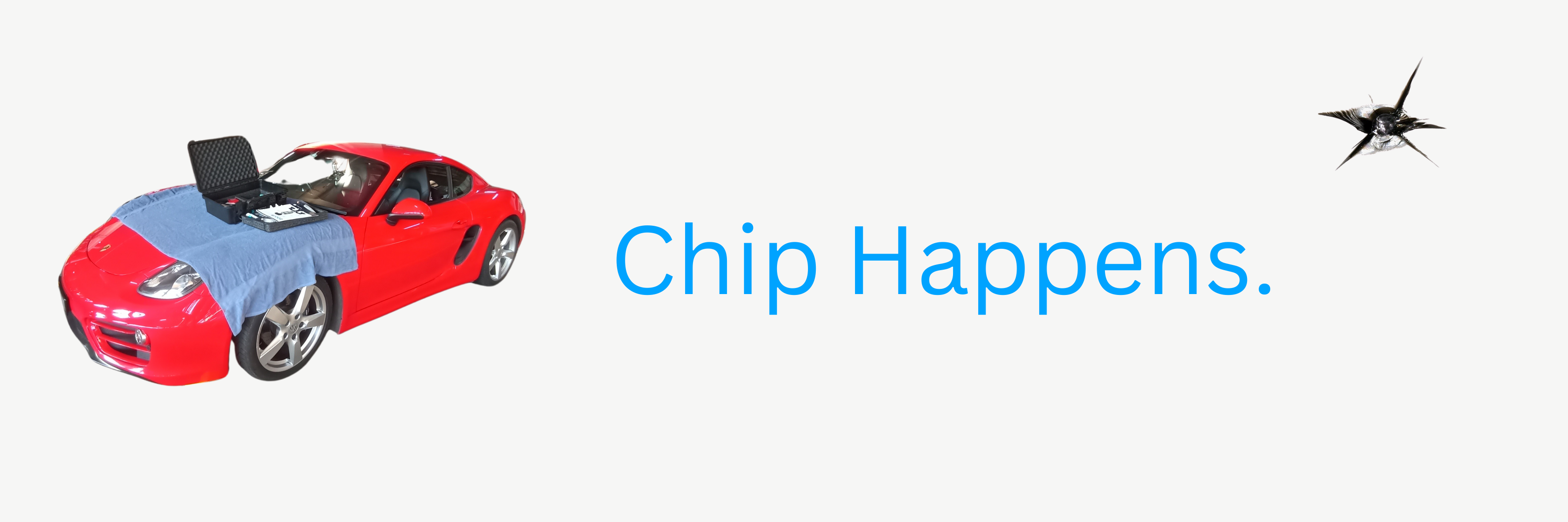 Chip Happens - Screensaver Chip Repairs