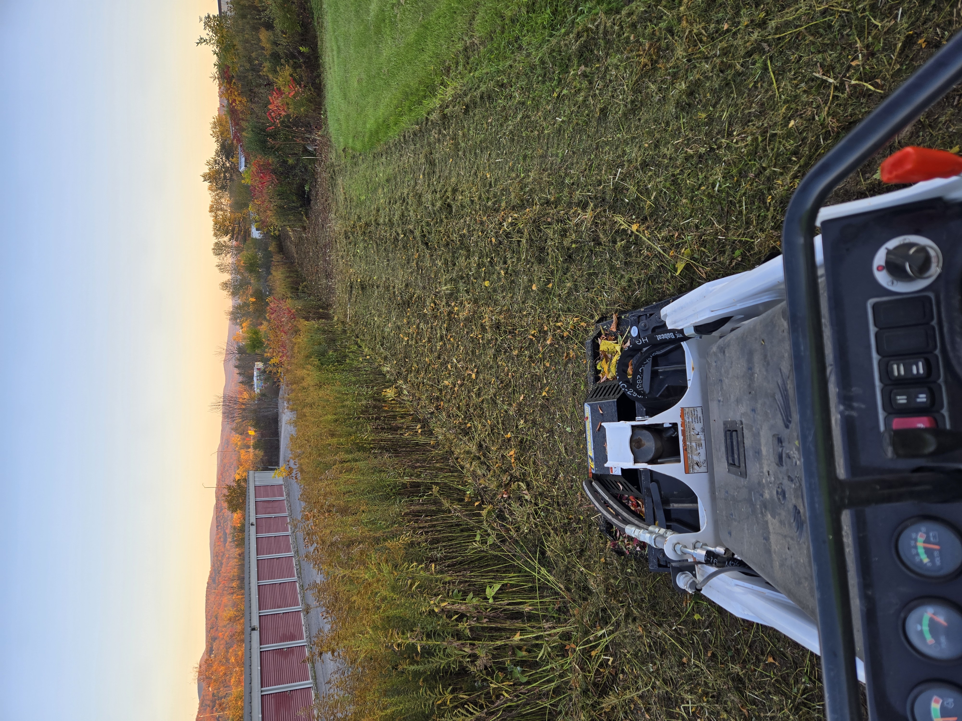 Before and after fall cleanup transformation in Blair County Pennsylvania