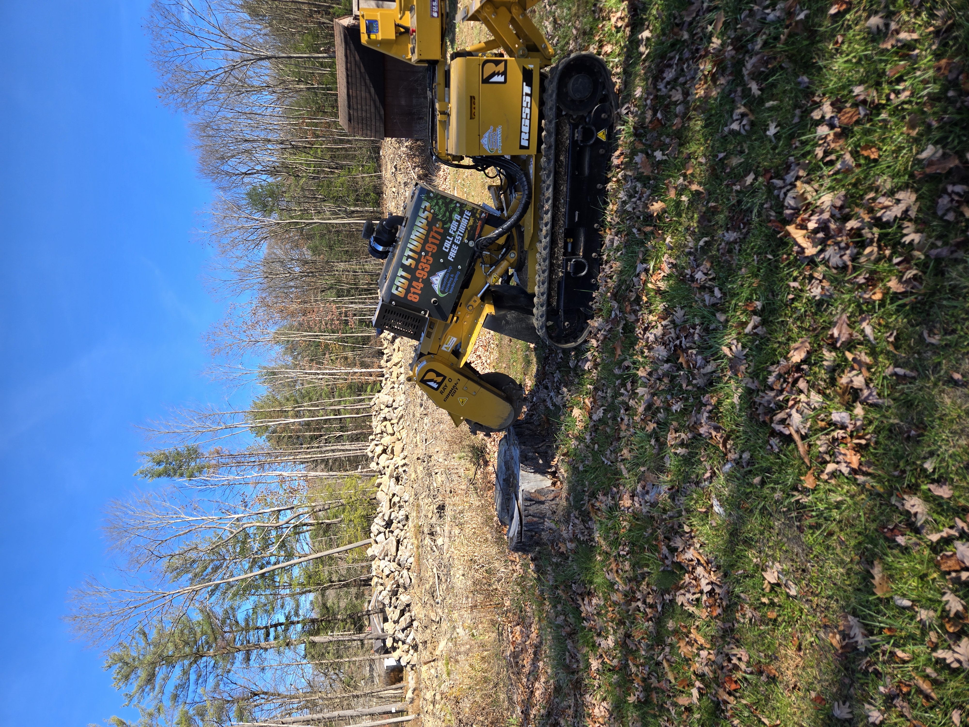Expert Stump Grinding in Hollidaysburg PA