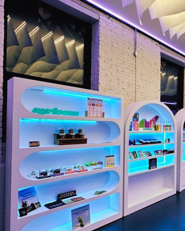 Cannadreams NYC Interior - Wave Ceiling and Blue LED Shelving