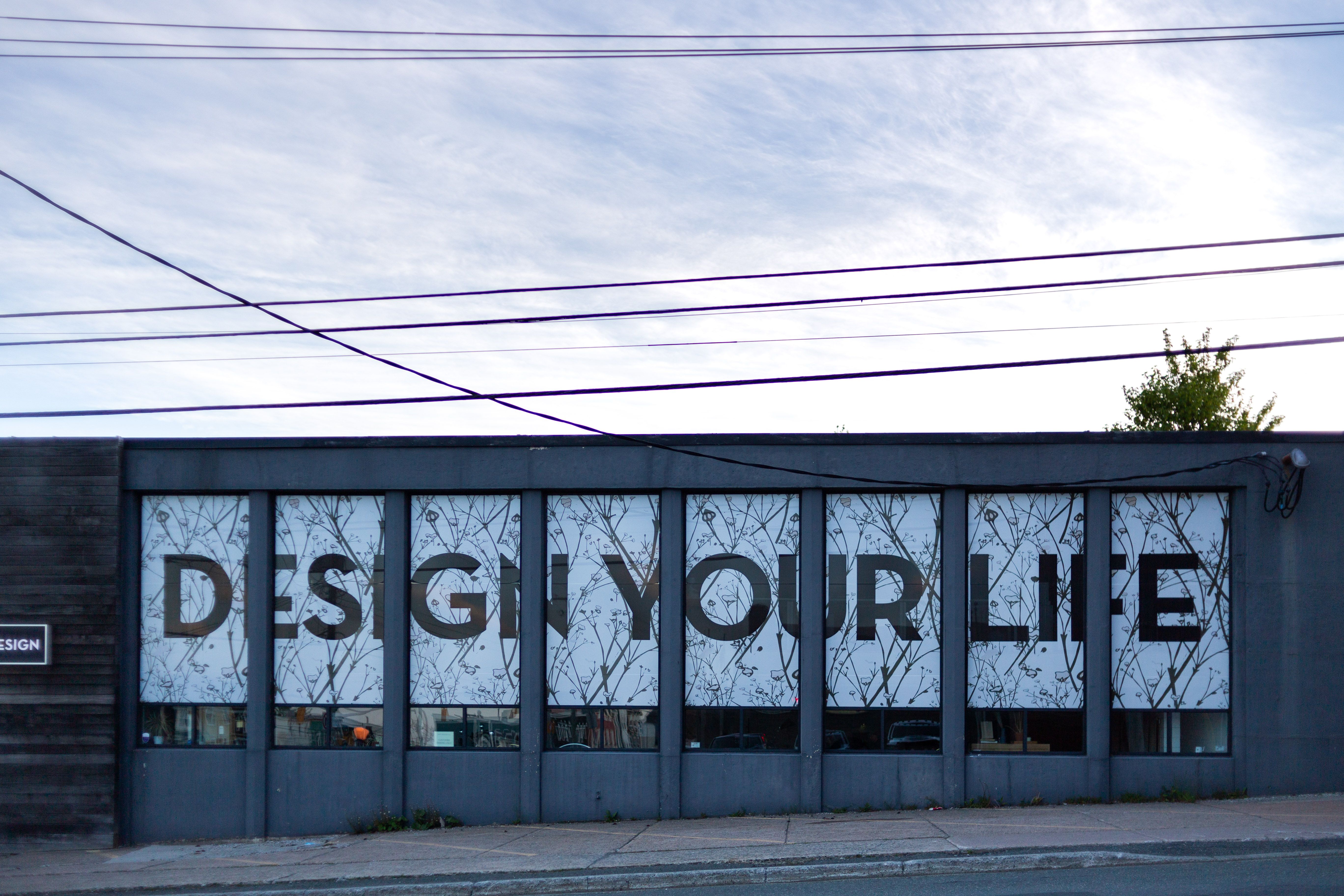 Storefront window graphics and vinyl lettering