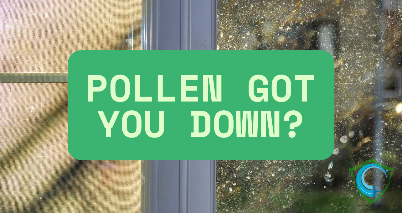 Pollen on windows