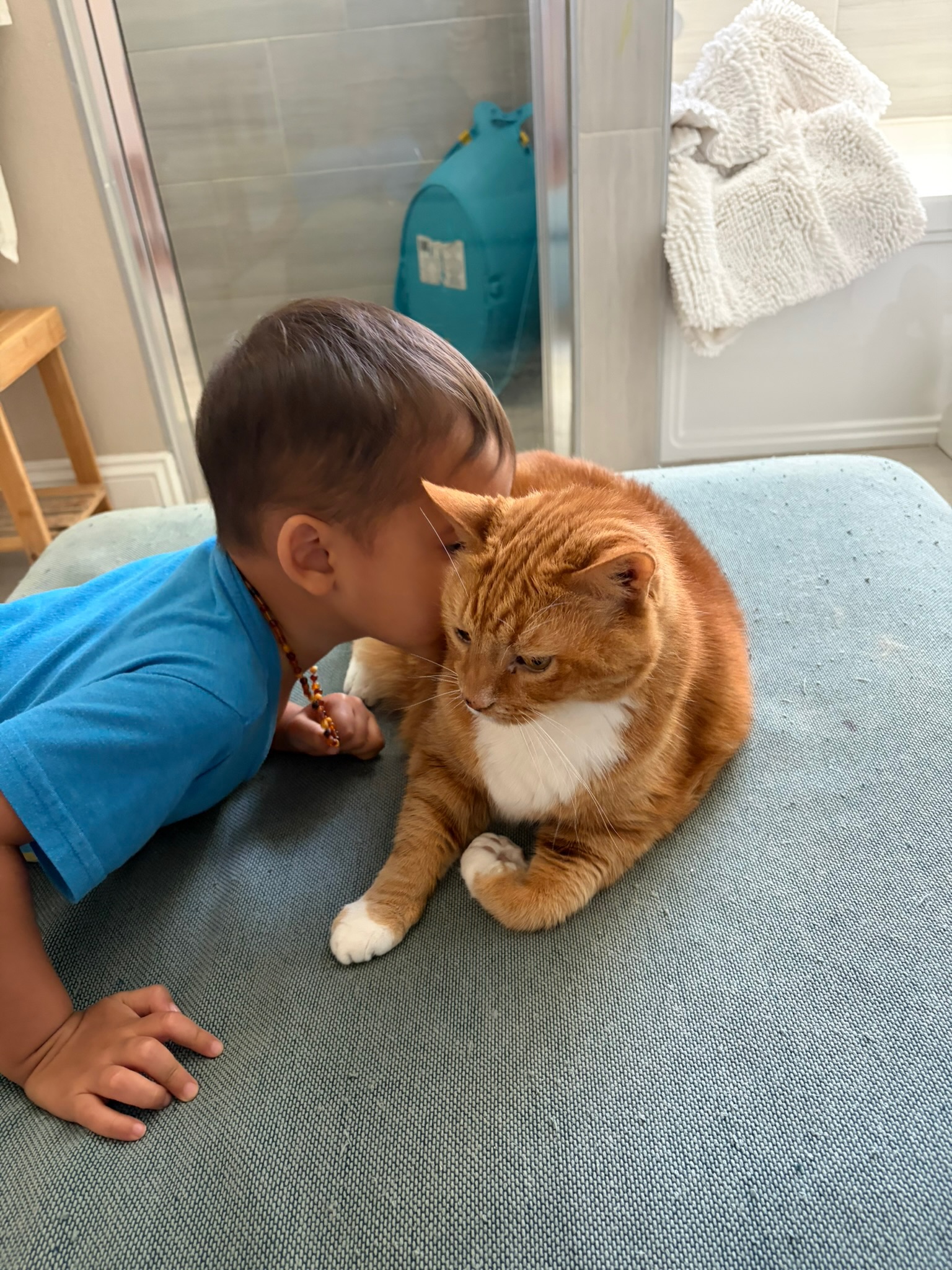 Relaxed dog in a calm outdoor setting
