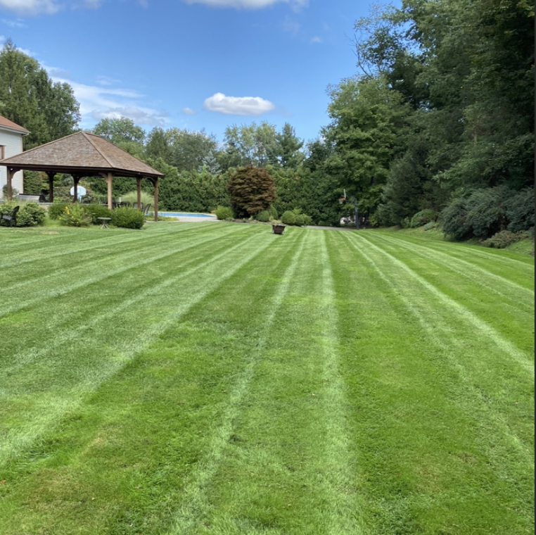 TJB Landscaping work