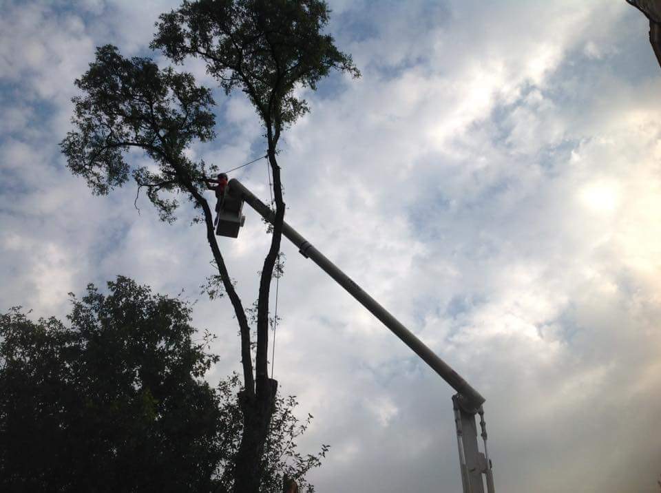 Climber working in aerial lift