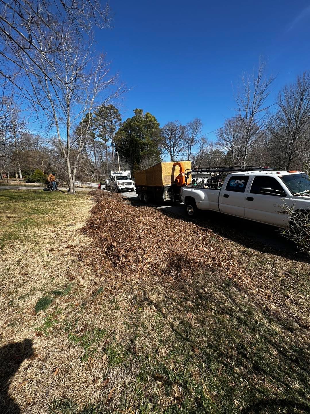 Thorough fall leaf removal and lawn bagging service in Southern Illinois
