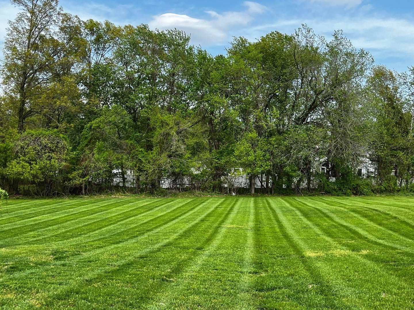 Weed control and healthy green turf management in Carbondale, IL