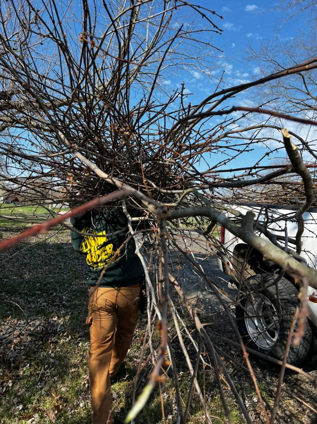 Complete overgrown lot restoration and property cleanup in Marion