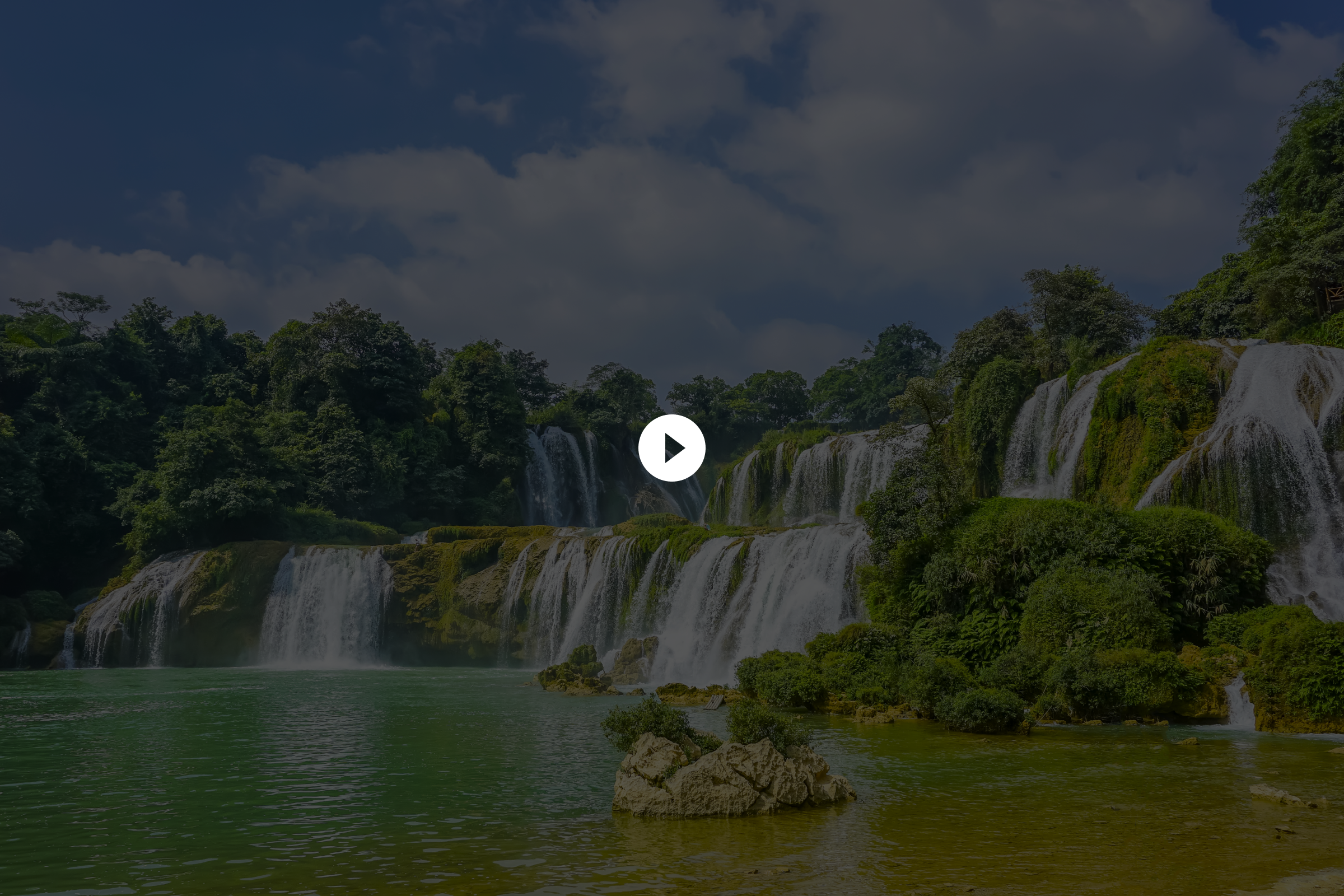 80X ROI Flows Video