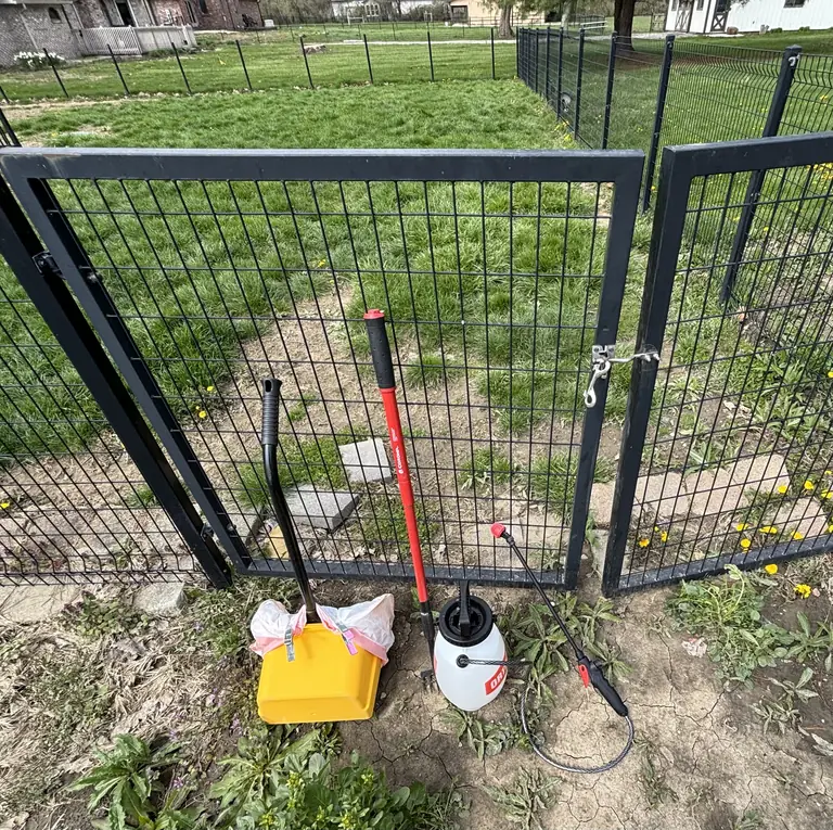 Backyard gate with cleanup equipment and green lawn beyond.