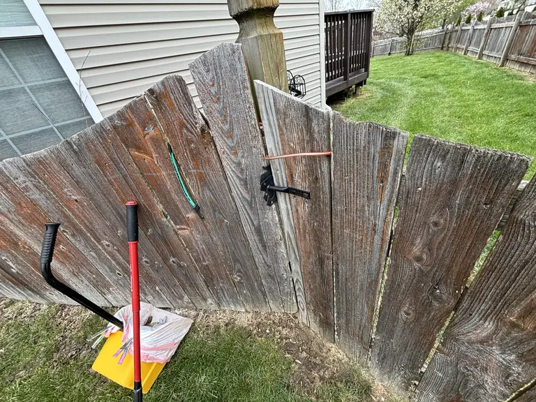 Wood gate and latch with cleanup tools and a green side yard beyond.