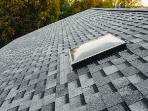 Roof Repair in Miami Dade County
