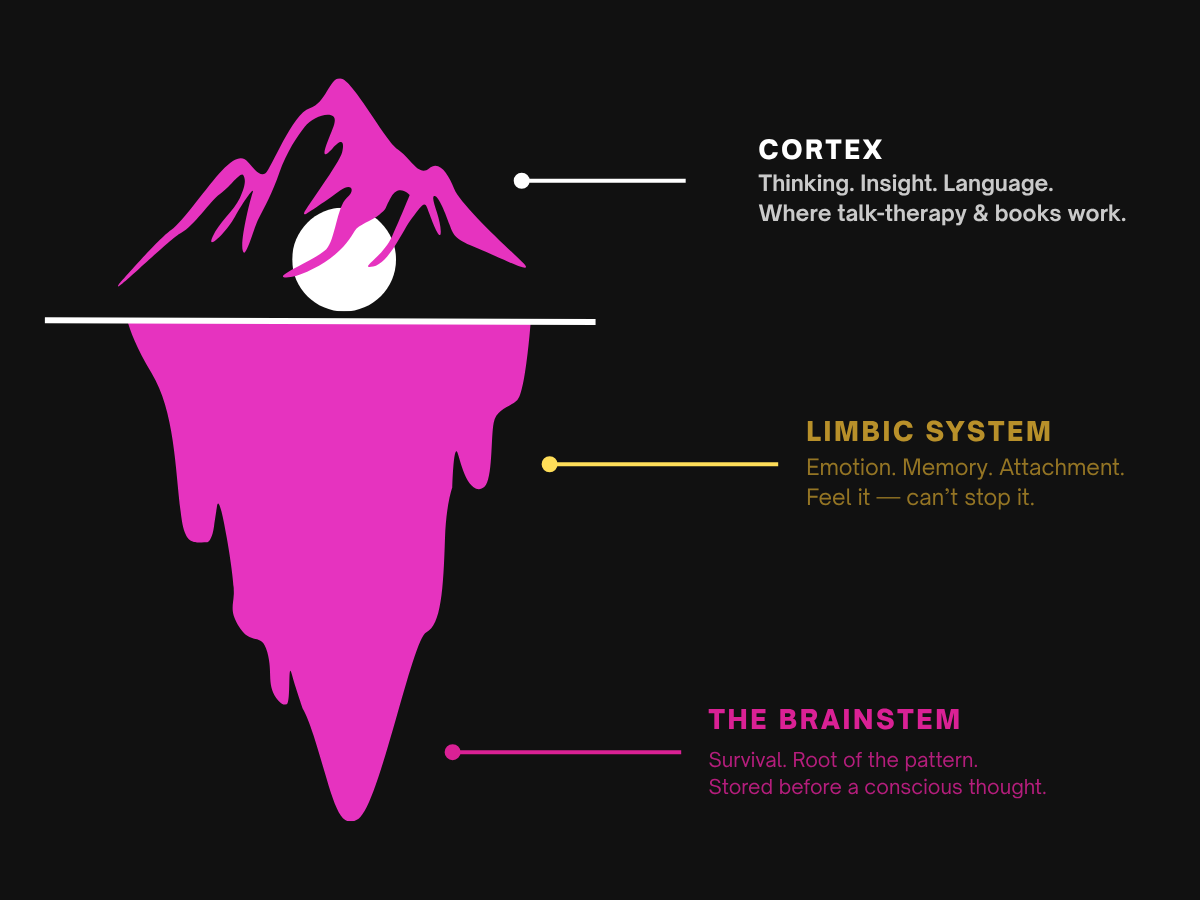 The Iceberg Model — Cortex, Limbic System, Brainstem