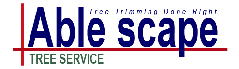 Able Scape Tree Trimming Service Collier County