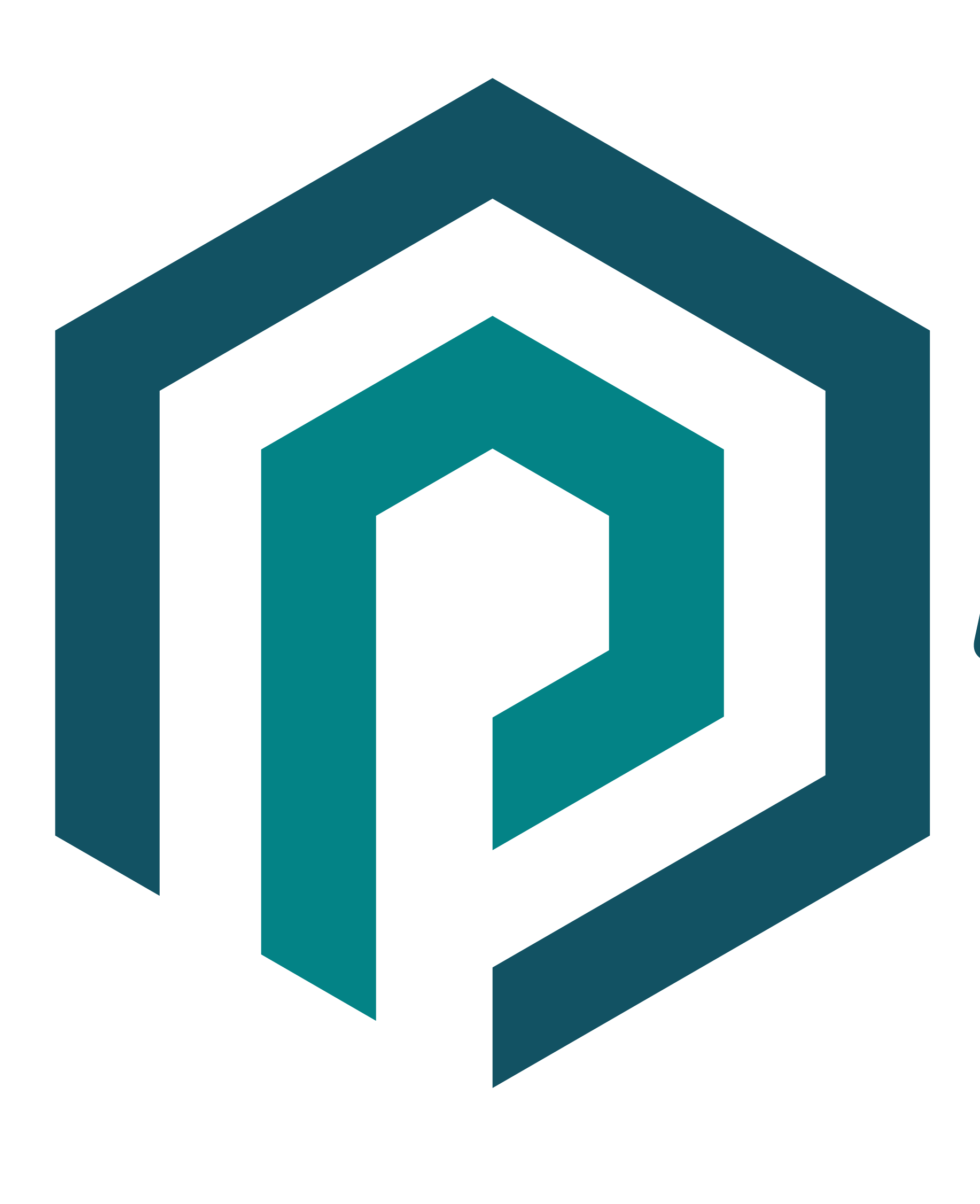 PivotNest Labs
