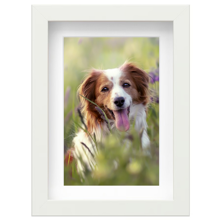 The Origin Frame White